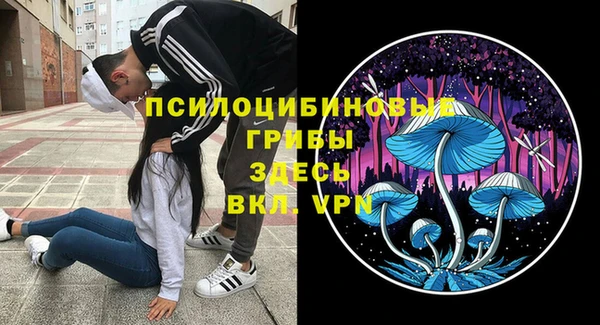 ГАЛЛЮЦИНОГЕННЫЕ ГРИБЫ Лабытнанги