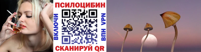 Псилоцибиновые грибы Psilocybine cubensis  цены наркотик  Советская Гавань 