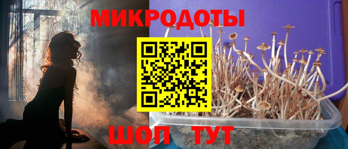 Псилоцибиновые грибы ЛСД Советская Гавань