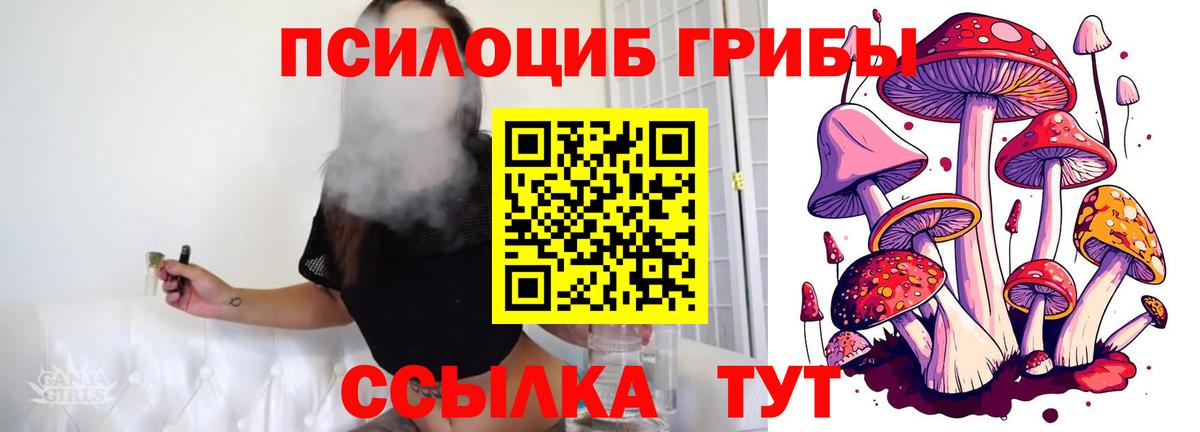 Советская Гавань  Псилоцибиновые грибы Psilocybe  Вход с VPN  Псилоцибиновые грибы мицелий 