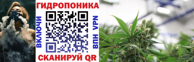 Канабис сатива Советская Гавань
